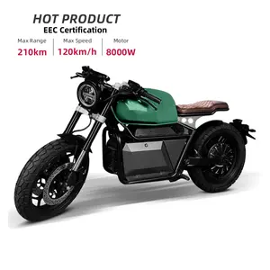 개인 모델 EEC 220V 고속 120 Km/H 8000w 전자 모터 성인 전기 오토바이