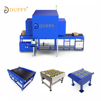 Système de tri d'entrepôt Duffy pour colis mixtes, cartons, sacs en polyéthylène, emballages souples, trieuse automatique