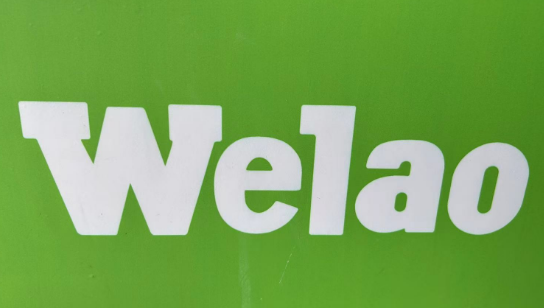Guangzhou Welao Auto Parts Co., Ltd. logo
