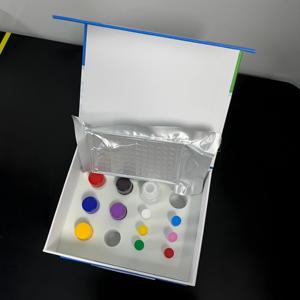 Kit de recherche <span class=keywords><strong>ELISA</strong></span> sandwich pour le récepteur humain de glucocorticoïdes-<span class=keywords><strong>B</strong></span> (GR-<span class=keywords><strong>B</strong></span>), réactifs chimiques à 99 % de pureté pour sérum/plasma, 48T/96T - Product Image 2