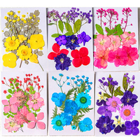 INTODIY – fleurs séchées pressées en vrac, paquet mixte de vraies feuilles de fleurs sèches fraîches, plante pour résine, Nail Art fait à la main