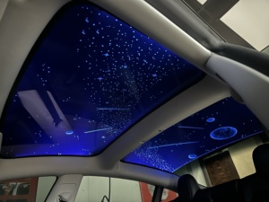 Film de toit ouvrant photoélectrique intelligent OMTD pour <span class=keywords><strong>Tesla</strong></span> Model Y Model 3, haute protection contre la chaleur, transparent, accessoires intérieurs - Product Image 3