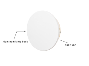 Applique <span class=keywords><strong>da</strong></span> parete rotonda design semplice alluminio LED 6W 12W 24W lampada <span class=keywords><strong>da</strong></span> parete corridoio corridoio <span class=keywords><strong>balcone</strong></span> sfondo lampada <span class=keywords><strong>da</strong></span> parete luce notturna - Product Image 2