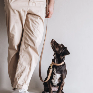 Correa ajustable de cuero para perros, correa de cuerda para perros con manos libres, accesorio de boda personalizado para mascotas - Product Image 6