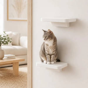 White Shelf <b>Floating</b> Perch <b>Wall</b> Furniture Mounted Step - Product Image 2