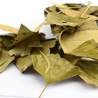 Großhandel Gewürz Yin xing ye gesunde kräuter massenhaft getrocknete biloba ginkgo blatt