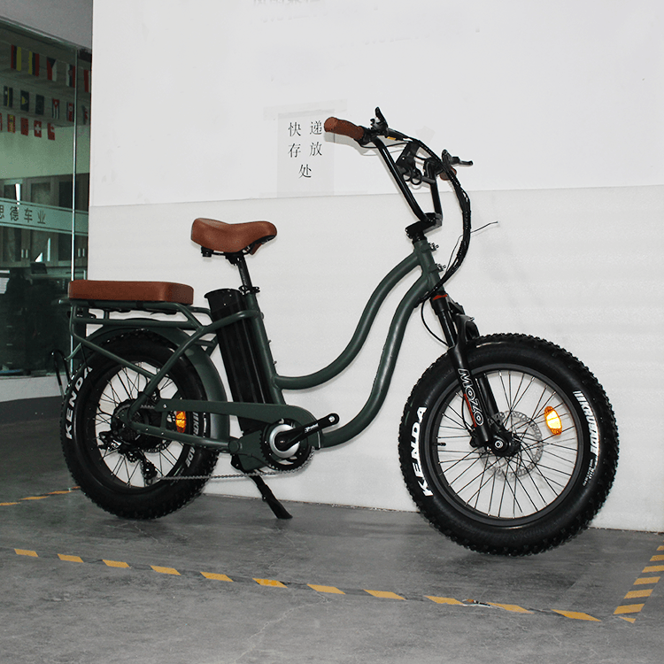 Ecotric 20Inch 48V FatBike Electric Bicycle Cruiser High Speed