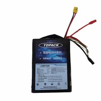 YDPACK SS2172-1225 Kepadatan Energi Tinggi 320Wh/kg, 12S25Ah