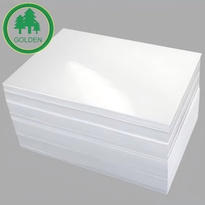 Papel Couché Artístico de 115 g/m² y 128 g/m² en Oferta, Papel de Arte con Recubrimiento Brillante para Impresión Offset - Product Image 2