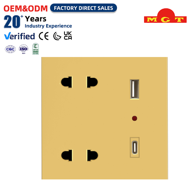 OEM Factory Supply Gold Champagne 2 Gang Multi Function Socket with USB Type-C Port Home Hotel Electrical Wall Mounted Socketed