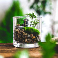 Vase carré en verre transparent, style minimaliste moderne, cylindre plat, tube droit, pour table, mariage, hydroponie, Pothos - Vente en gros usine