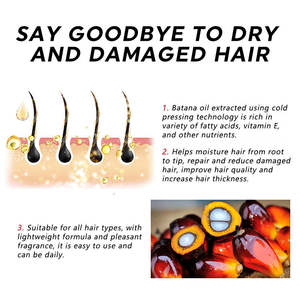 OEM Haarwuchs-Shampoo und Conditioner Set Batana-Öl Anti-Haarausfall-Behandlung Nachwachsendes Haarpflege-Shampoo-Set - Product Image 6