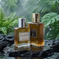 Flacon de parfum de luxe vide en verre givré rectangulaire de 30 ml, 50 ml, 100 ml avec pulvérisateur et capuchon