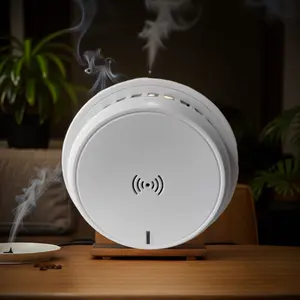 Ce chứng nhận khói điện tử Detector Sensor Home an ninh thiết bị với Gas báo động khói cho cháy và Carbon Monoxide