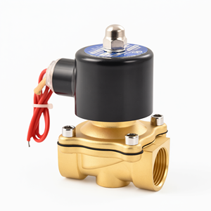 Brass <b>Solenoid</b> <b>Valve</b> Electric <b>Water</b> Control Fountain Pipe Industrial System <b>Valve</b> - Product Image 1