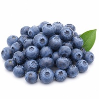 Verse 100% pure donkerblauwe bosbessen, hele vruchten, volle, natuurlijke, zoet-zure superfood, premium kwaliteit, groothandel bulk