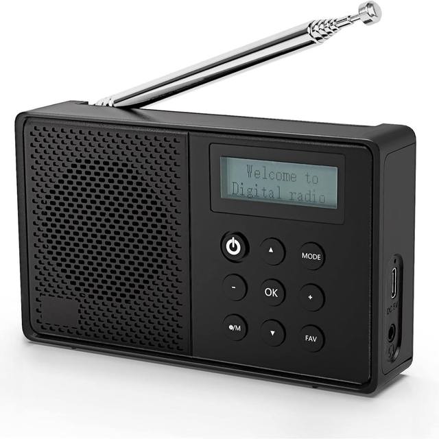 DAB FM Digital Radio with 1200mAh Battery & 3.5mm AUX Input for Home Outdoor Powerful 10W Portable