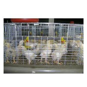 Cage d'alimentation pour poules, 2 m, 96 couches, accessoire pour élevage de volaille