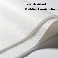 OEM ODM Spunbond Nonwoven Plain Fabric PET&PP Filament Fiber Polyester Waterproof Breathable Medium Weight Tear Resistant Cloth