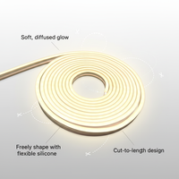 Ruban LED Néon Flexible en Silicone Étanche 6*10 RGB 6000K Lumière du Jour Ra90 CRI pour Applications de Bureau Nee Doh Cubes Garantie 2 Ans