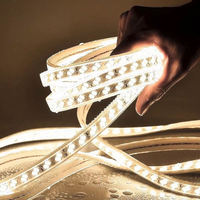 Lampu Strip LED Tahan Air IP67 110V 220V Ukuran 10mm Pilihan Multi-Warna untuk Lanskap & Dekorasi Luar Ruangan Smd2835