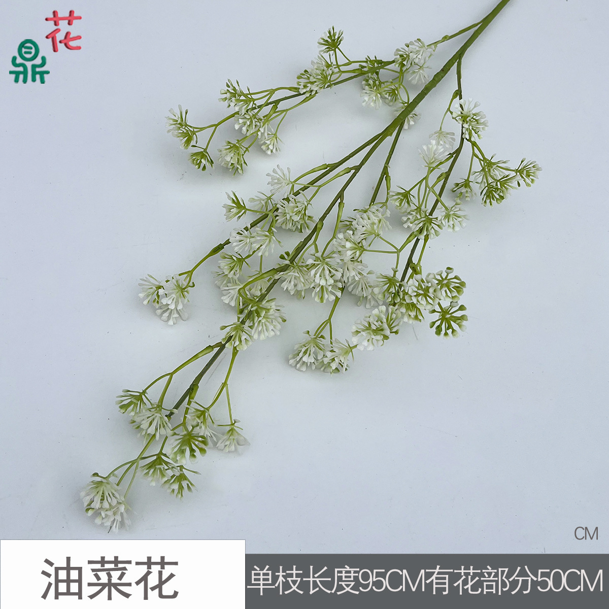 Fleurs de colza CM Blanc
