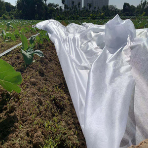 Tela no tejida spunbond PP para agricultura, tejido negro con UV 1%-6%, para agricultura - Product Image 5