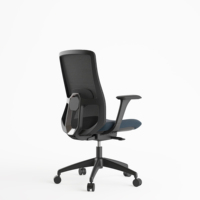Chaise de bureau ergonomique en maille bleue pour le personnel, le visiteur, le patron, le fabricant, avec soutien lombaire moyen et accoudoirs