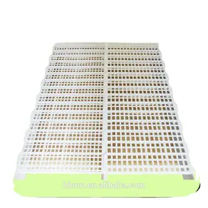 new material plastic slat flooring for poultry house chicken floor/chicken farming equipment