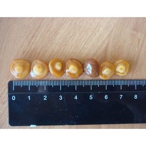 Thực phẩm đóng hộp Nấm có thể nameko nấm ướp toàn bộ nấm trong lọ thủy tinh - Product Image 3