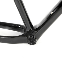 Cadre de vélo de montagne en fibre de carbone, léopard pro sans décalcomanies, 29er, prix d'usine