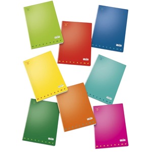 PIGNA - CARNET MAXI MONOCHROME 38 FEUILLES A4 GRANDS CAROIRES ASSORTIS - Product Image 1