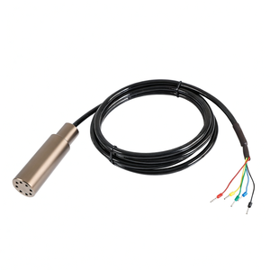 Sensor de Nivel de Combustible Sumergible de Acero Inoxidable Hidrostático Analógico 4-20mA RS485 - Product Image 1