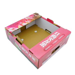 Wholesale Vegetables Fruit Cherry Mushroom Citrus Die Cut Carton Box Personalized gift Boxes