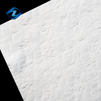 Spunbond-Vliesstoff, weicher, hydrophiler Vliesstoff für Windeln, Spunlace-Rohmaterial