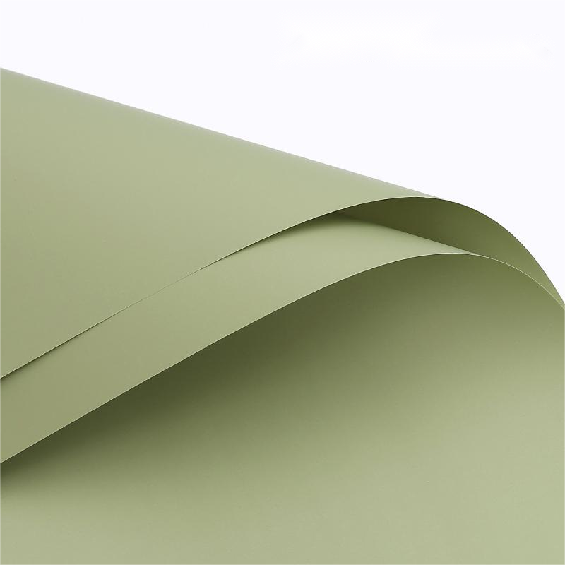 6-Vert pin de mer