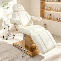 Lit de massage de salon de beauté moderne de luxe Table de spa pour la tête Chaise inclinable électrique pour l'extension des cils pour centre de beauté