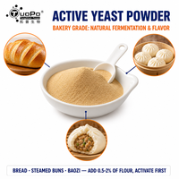 Poudre de levure sèche active en vrac à forte puissance fermentaire pour la fabrication de pâtisseries fermentées