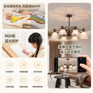 Lámpara de Techo LED de Estilo Vintage Francés con Diseño Floral, Espectro Completo RG0, Protección Ocular - Product Image 5