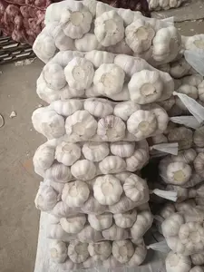 Fornitore di aglio fresco alla rinfusa/aglio bianco normale dalla Cina
