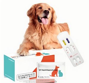 Vente en gros 10T/Kit Kit de <span class=keywords><strong>test</strong></span> rapide antigène <span class=keywords><strong>rotavirus</strong></span> canin Opération facile pour échantillons d'excréments canins Bandelettes de <span class=keywords><strong>test</strong></span> vétérinaire - Product Image 3