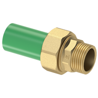 Vente chaude PPR En Acier Inoxydable En Laiton Filetage Mâle Adaptateur ppr hdpe Union Tuyau D'eau Raccord Tubes En Plastique