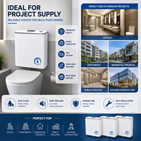 Citerne de toilette silencieuse et durable en ABS à double chasse, économie d'eau, pour projets hôteliers, livraison rapide, design moderne, approvisionnement direct usine, OEM