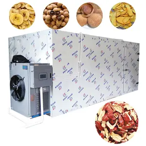 Fruit & Vegetable Dehydrator For Apple/Pineapple/Litchi/Lychee/Blueberry/Jujube/304 Stainless Steel/Smart PLC Touch Screen