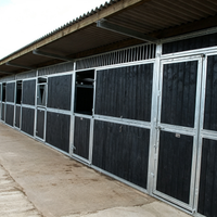 Box à chevaux galvanisé économique pour l'extérieur, écurie préfabriquée robuste, abri pour chevaux