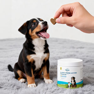 Suplementos Nutricionales para Mascotas al por Mayor OEM/ODM, Golosinas Nutricionales Antialérgicas, Masticables Blandos de Lecitina para Perros y Gatos, Gránulos de Lecitina Antialérgicos - Product Image 4