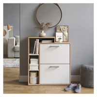 Meuble d'entrée moderne et minimaliste, grande capacité, armoire à chaussures en bois avec porte rabattable, design élégant