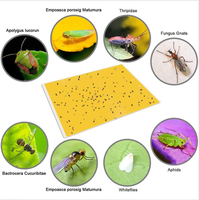 Piège à colle jaune pour jardin agricole, intérieur et extérieur, serres, piège à insectes volants