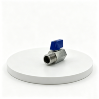 Vanne à boisseau sphérique miniature OEM en acier inoxydable 304 316 filetée NPT BSP DN20 3/4 pouce M-F, vanne d'arrêt haute pression 1000WOG