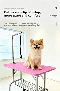 <span class=keywords><strong>Spazzola</strong></span> Pieghevole Ecologica <span class=keywords><strong>per</strong></span> Toelettatura Animali Domestici con Telaio in Acciaio Inossidabile, <span class=keywords><strong>Spazzola</strong></span> <span class=keywords><strong>per</strong></span> Taglio <span class=keywords><strong>Pelo</strong></span> e Bagno <span class=keywords><strong>Cani</strong></span>, Design Moderno Classico <span class=keywords><strong>per</strong></span> Casa - Product Image 6